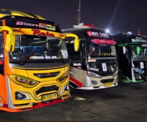 galeri (14) galeri (14)