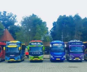 galeri (6) galeri (6)