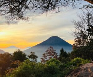 galeri (8) galeri (8)